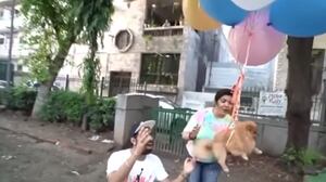 Youtuber es detenido por atar a su perro a globos de hidrógeno y grabar el hecho