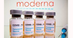 Pesquisa mostra que meia dose da vacina Moderna induz produção de anticorpos