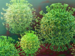 Coronavirus no solo afecta a los pulmones, también causa graves daños a otros órganos