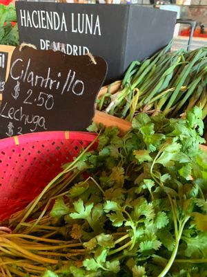 Mercado agrícola regresa a IL Nuovo Mercato