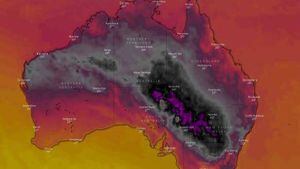 Máximas alcanzan los 48 grados: calor extremo hizo que Australia se volviera negra en el mapa meteorológico y murciélagos salieron a atacar a las personas
