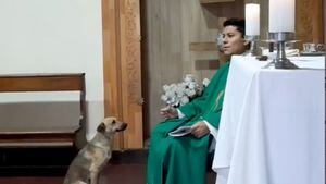 ¡Más fiel que muchos! Captan a perrito asistir a misa a los pies del padre en Perú