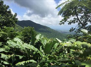 El Yunque cierra temporeramente por el posible paso de Karen