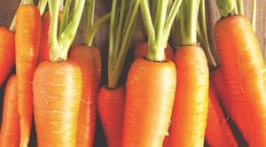 Prepare este dip en forma de zanahoria para celebrar Easter