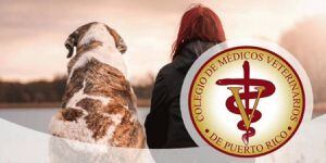 Colegio de Médicos Veterinarios aclara dudas sobre animales y el coronavirus