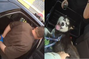 Hombre deja encerrado a perro en el auto para ir a apostar al casino: le amarró el hocico con una cinta