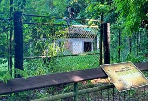 Muestran presunta nueva evidencia del avanzado deterioro del zoológico de Mayagüez