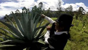 El guajango, una bebida espirituosa que cura resfriados y aviva las fiestas en Ecuador