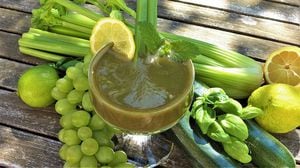 Conoce los beneficios del jugo de apio: Un vegetal esencial para tu vida
