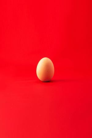 Comer um ovo por dia não apresenta um grande risco para a saúde