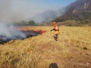 Autoridades advierten que Colombia estaría bajo la amenaza de múltiples incendios forestales