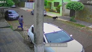 Vídeo registra momento dramático em que pinscher é atacado por cachorro maior