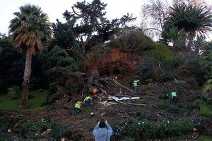 Árbol cae y destruye el emblemático reloj de flores de Viña del Mar