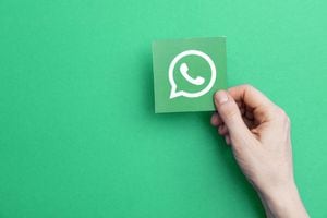 Whatsapp escuchó las plegarias y nueva actualización permitirá buscar stickers