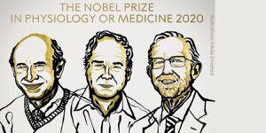 Premio Nobel de Medicina 2020 va para descubridores del virus de la hepatitis C