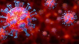 Coronavirus: contagio de pacientes asintomáticos es "muy raro" según la OMS