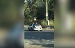 Vídeo de mulher rebolando em cima de carro em movimento se torna viral e polícia identifica suspeita