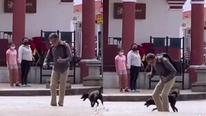 ¡Lomito bailador! Perrito se pone a bailar en público en Chiapas