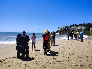 Sigue la búsqueda de familia desaparecida en playa de Pingueral: Llegó equipo especializado de la Armada