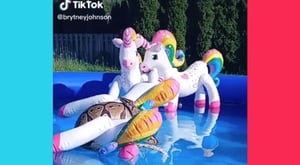 Vídeo que mostra píton relaxando em piscina se torna viral nas redes sociais