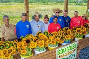 Finca El Girasol en Guánica cierra sus puertas temporalmente