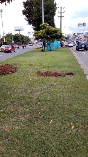 ¡No le crea! La falsa noticia que circula sobre la Feria de Cali