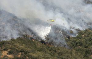 Organizaciones medioambientales buscan evitar que la catástrofe forestal de los incendios se repita