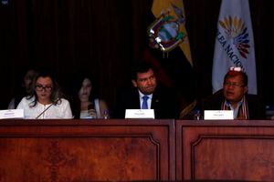 El perito Roberto Meza comparece ante la Comisión Ocasional que investiga el Caso Gabela
