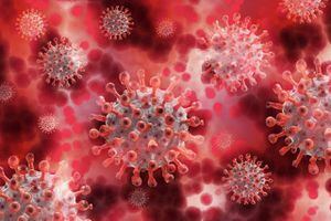 ¿Cuántos meses de inmunidad tienes cuando ya te contagiaste de coronavirus?
