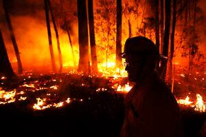 Metallica donará 750 mil dólares para combatir incendios en Australia