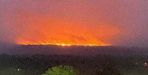 El grave daño ambiental que dejan los incendios en La Macarena