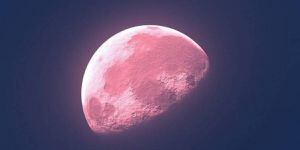 Como a Lua Rosa afetará os relacionamentos de todos os signos do zodíaco