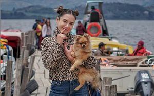 Johanna Fadul es atacada por pasear a su perro en un coche