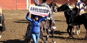 "Me han amenazado de muerte": Eliana Albasetti lo pasa mal tras participar en funa al rodeo en Fiestas Patrias