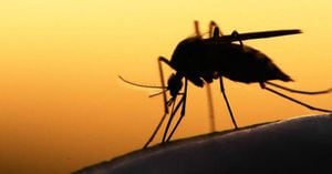 Alerta en México por picadura de mosquito negro, transmisor de virus mortal