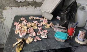 Polícia do Rio fecha laboratório que reformava próteses dentárias roubadas de cemitérios