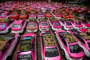 Taxistas en Tailandia plantan vegetales en el techo de sus autos en medio de pandemia
