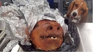 Perro detectó un cerdo asado en equipaje de ecuatoriano en Atlanta