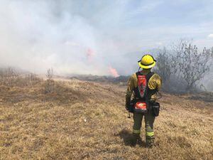 Bomberos combaten incendios forestales en el sector de Checa