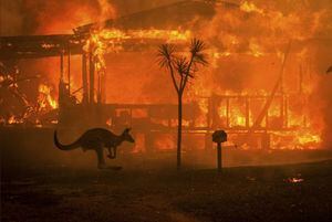Ecuador no se verá afectado por el humo de los incendios de Australia