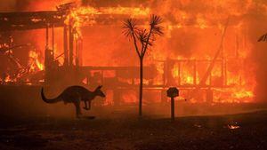 ¿Son los incendios de Australia provocados por seres humanos?