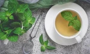 Prepara un delicioso té de menta para controlar la ansiedad durante la cuarentena