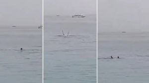 Tragedia en Mar Rojo de Egipto: Tiburón zamarreó por horas a turista ruso y lo devoró