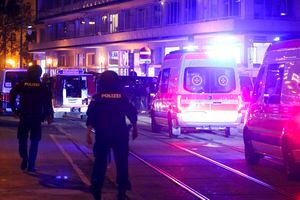 "Manténganse en casa": Viena está bajo ola de ataques terroristas
