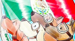 Además de Frida, ellos también se han convertido en los héroes caninos del terremoto en México