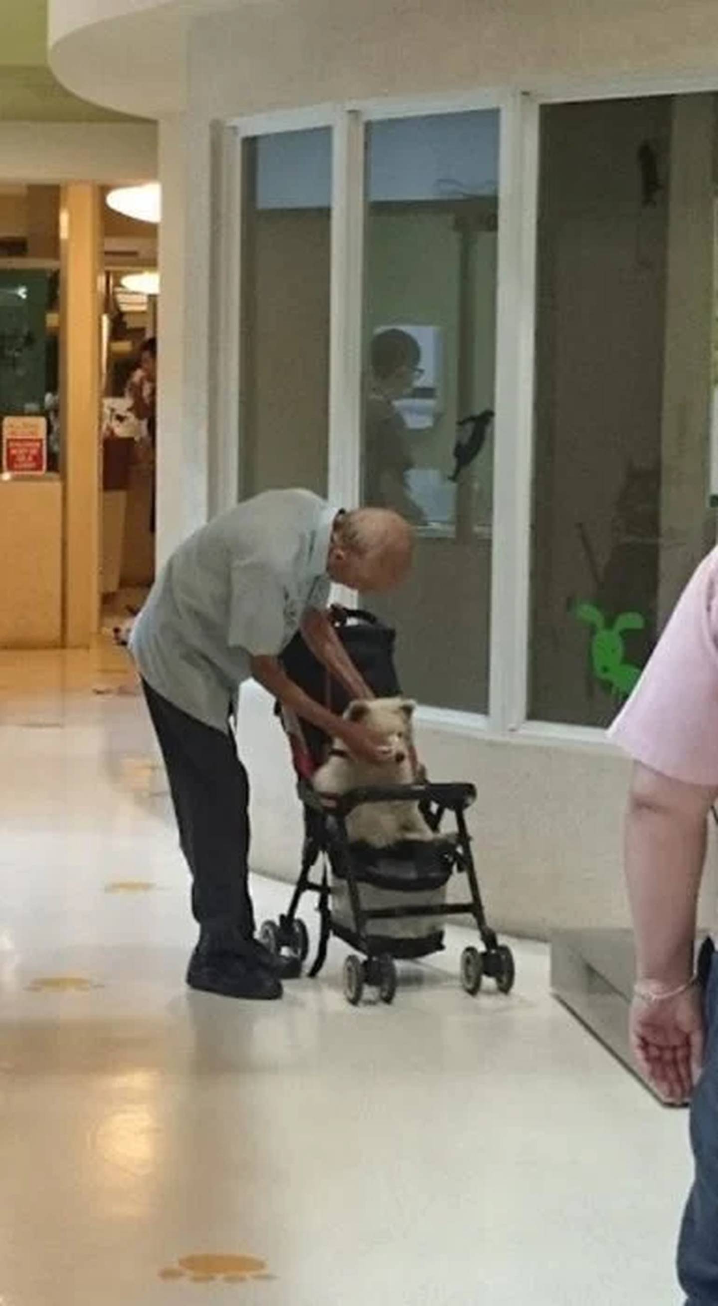 Abuelito lleva en carriola a su perrito, para visita al veterinario.