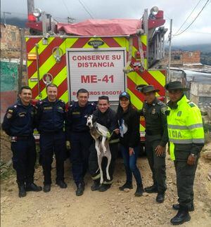 Rescatan perrito que llevaba dos meses encerrado en una vivienda de Bogotá