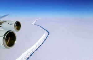 Científico chileno revela riesgos por iceberg gigante que está a punto de cambiar para siempre la Antártica