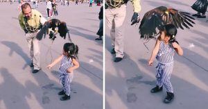 Video: pequeña es atacada por un águila y madre en vez de ayudarla se burla de ella