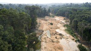 Esta es la principal amenaza para la Amazonía, según coinciden expertos